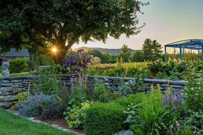 Crafting Your Outdoor Haven: Turn Your Yard into a Serene Sanctuary Crafting Your Outdoor Haven: Turn Your Yard into a Serene Sanctuary