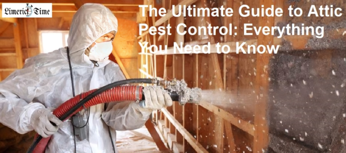 The Ultimate Guide to Attic Pest Control: Everything You Need to Know