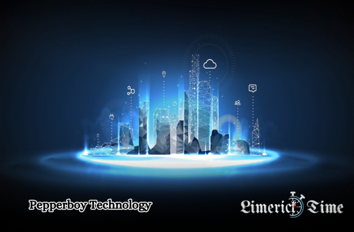 Pepperboy Technology Digital Politics and Campaign Strategy Revolution
