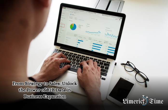From Strategy to Sales: Unlock the Power of B2B Data in Business Expansion From Strategy to Sales: Unlock the Power of B2B Data in Business Expansion