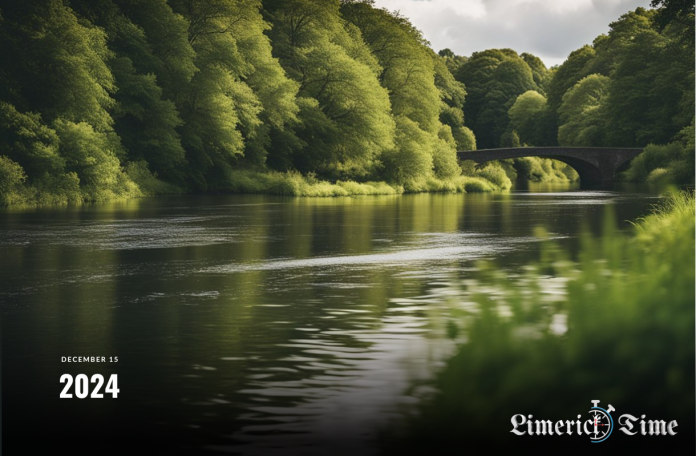 Panoramic view of an Irish lake surrounded by lush greenery under a bright sky, symbolizing Ireland's natural beauty and environmental heritage.