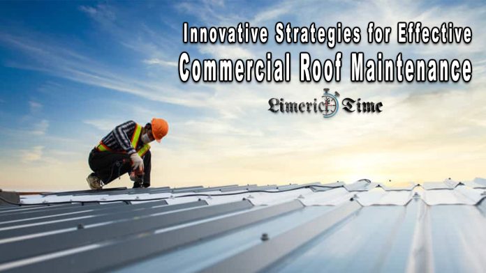 Commercial Roof Maintenance